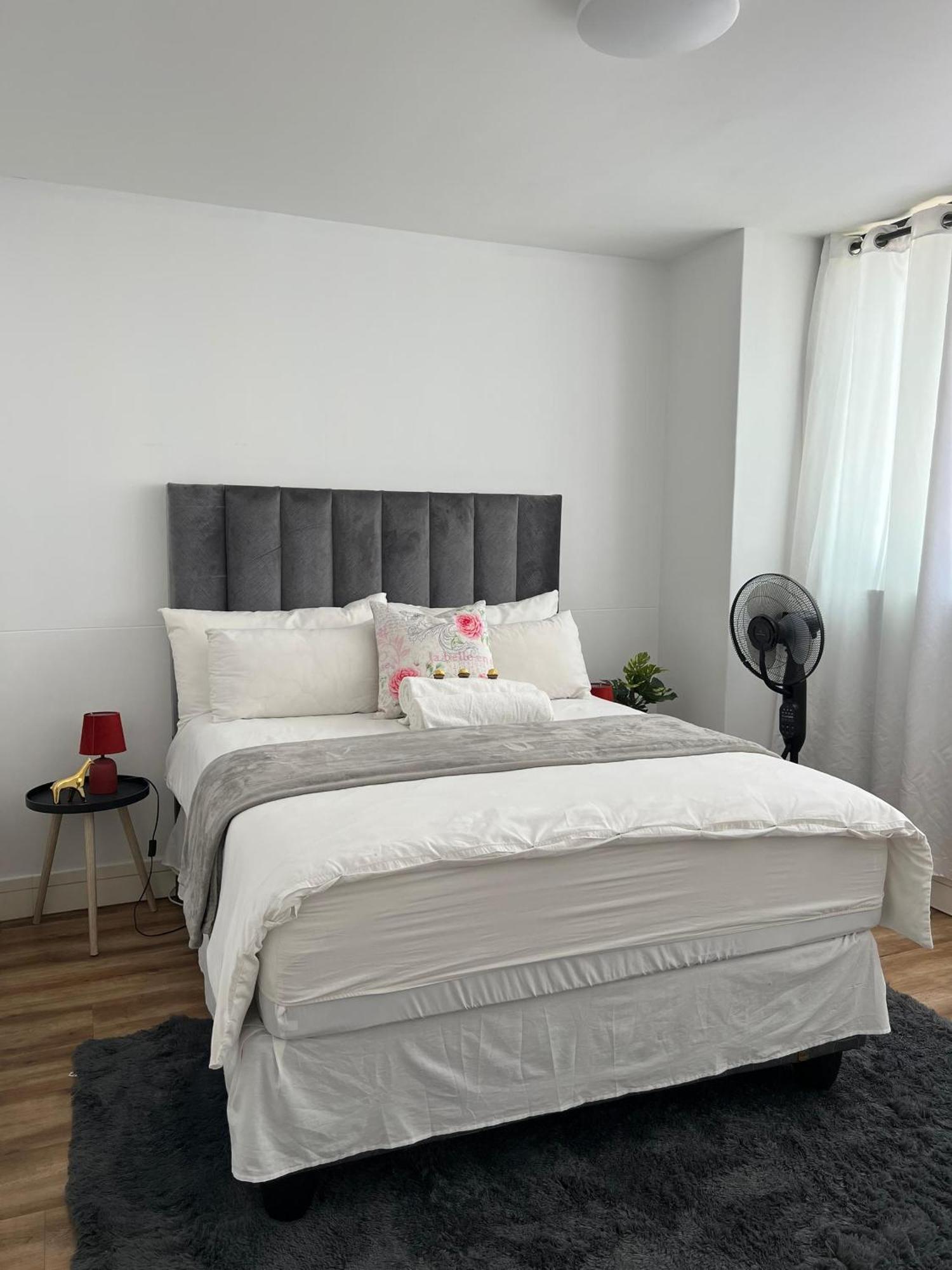 Cosy Apartment In The Heat Of The City Windhoek Exteriör bild
